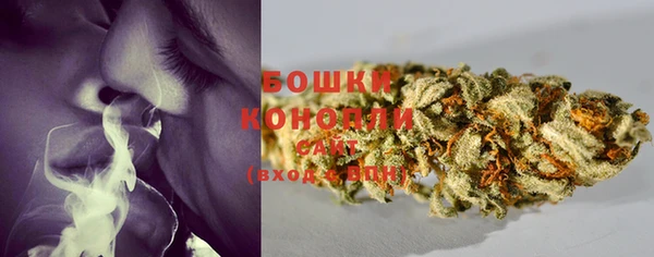 СК Новокубанск