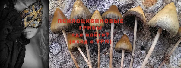 Альфа ПВП Шадринск