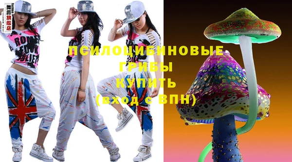СК Новокубанск
