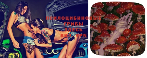 ешки Белоозёрский