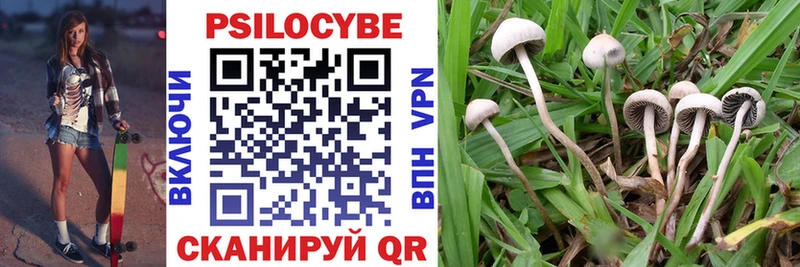 Галлюциногенные грибы Psilocybine cubensis  Луза 